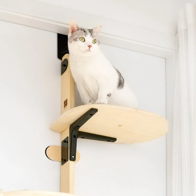 Hanging Cat Climbing Frame Behind The Door